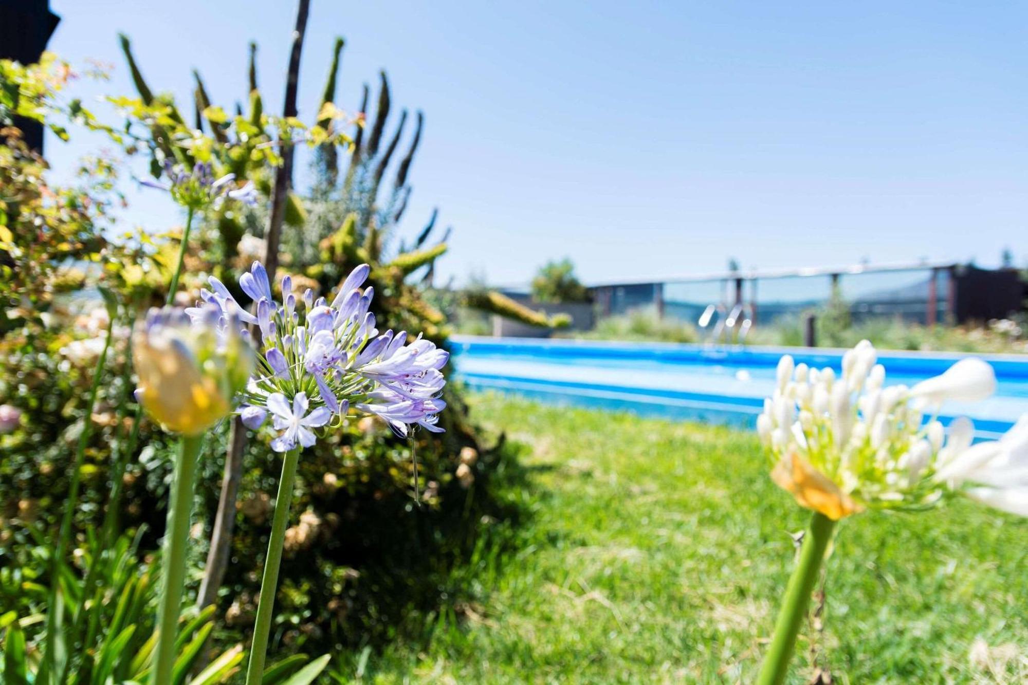 Park Inn By Radisson Los Olivos De וינאר מראה חיצוני תמונה
